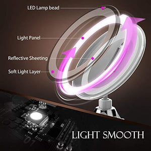 10x Magnifying LED Lighted Makeup Mirror